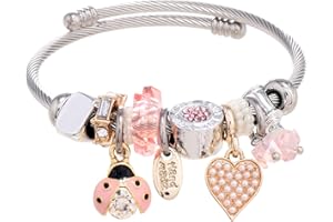 DS Charm Bracelets for girls,exquisite cute cartoon friendship bracelets Silver Stainless Steel Bangle with birthday Gift box, Adjustable girls jewelry Suitable for holiday gifts