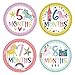 28 Pack Baby Monthly Milestone Stickers for Girls