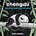 Chengdu Could Not, Would Not, Fall Asleep