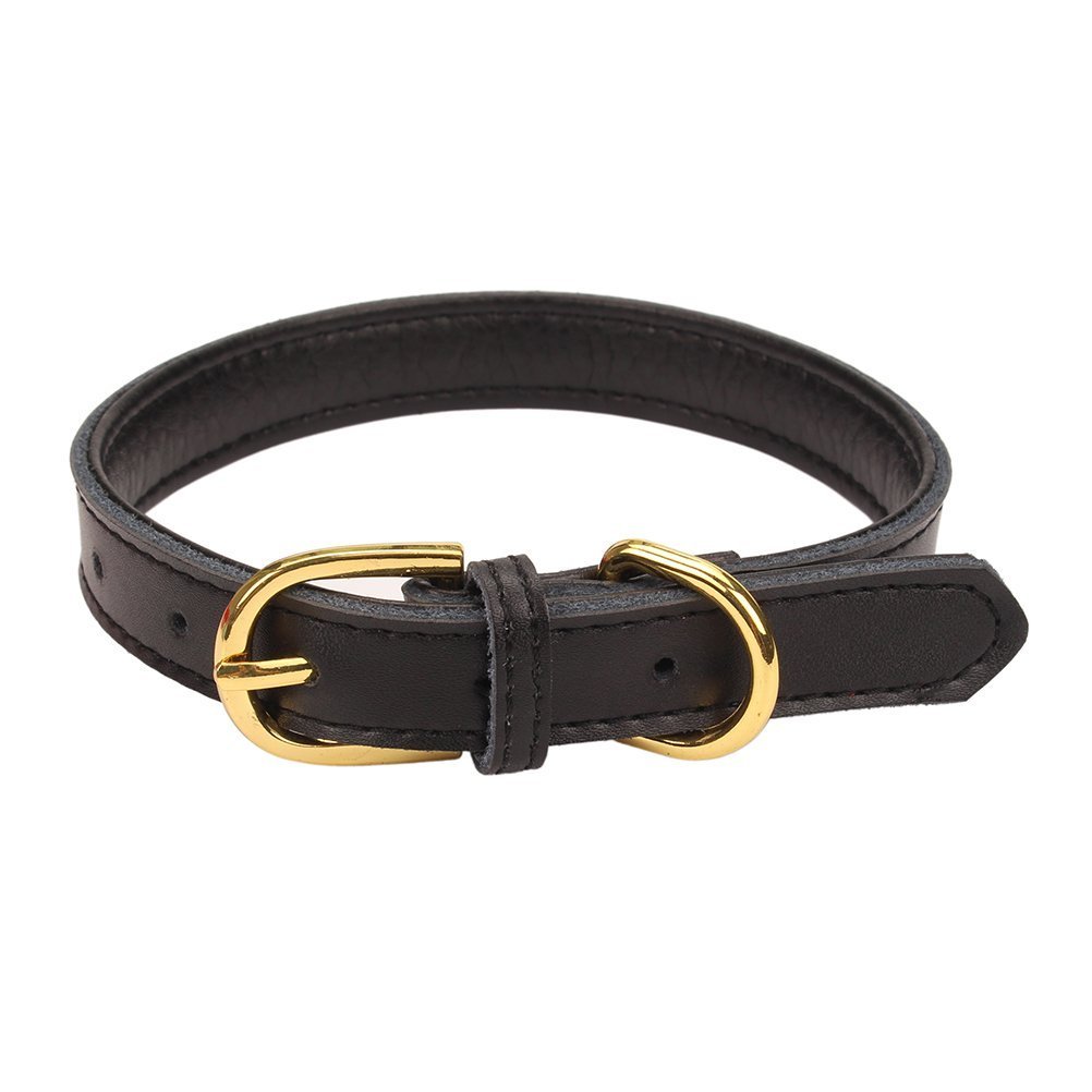 Mcdobexy Klassische weiche gepolsterte Leder Hundehalsband für Katzen