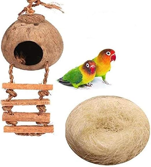 coconut bird toy