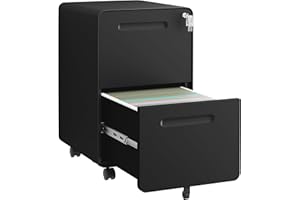 HOMSTEEL 2 Drawers File Cabinet, Metal Filing Cabinet with Lock, Mobile Vertical Cabinet with Fully Assembled Except Casters, for Home Office, for A4, Letter, Legal File Folders, Black
