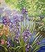 Hudemas Needlepoint Kit Printed Tapestry Canvas and Threads 16x14 inches (078 Iris)
