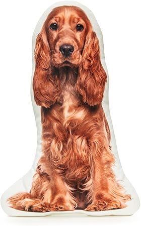 high cotton english cockers