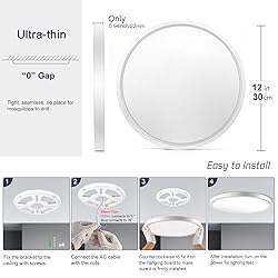 12 Inch LED Flush Mount Ceiling Light
