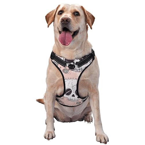 Dog Harness Leash Set Soft Oxford Breathable Reflective Puppy