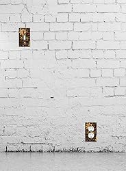 WIRESTER Single Gang Toggle Light Switch Plate/Wall