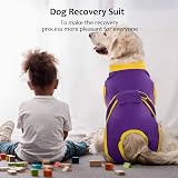 Kuoser Dog Recovery Suit Purple XS Post-Op E-Collar Alternative view 7