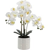BTHM DSGN Faux Orchid Plant 23" Tall, Realistic Touch Leaves, Potted Phalaenopsis Artificial Plants Indoor for Home Decor Small Office Home Living Room-White