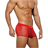 Arjen Kroos Men Sexy Mesh Boxer Briefs Low Rise Stretch Breathable Underwear Boxer