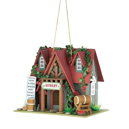 Amazon Com Zings Thingz 57071014 Winery Birdhouse Green Home