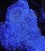Luminol Spray, 2 Oz.