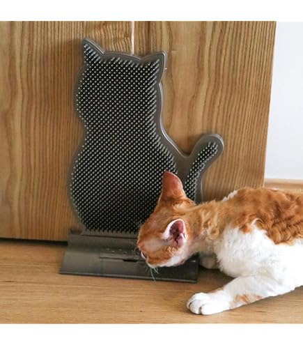 Amazon.com: AONYAYBM Cat Self Groomer, Cat Face Scratchers, Cat Grooming  Brushes for Indoor Cats, Cat Corner Brush Interactive Itching Relief Indoor  Cat Massager Rubbing Post with 2 Catnip Balls for Kitten :