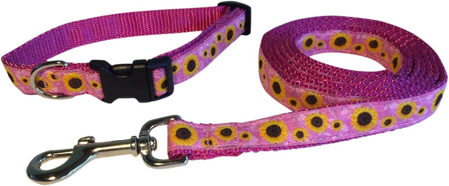 sunflower dog collar and leash