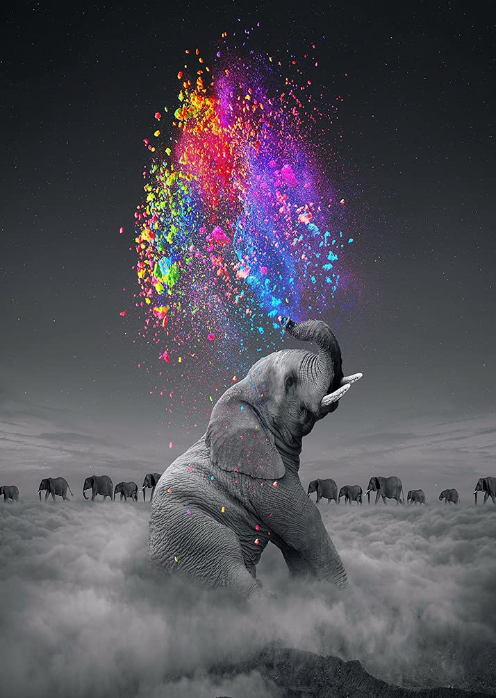 LUOGE 5D Diamond Paintings Kits, Colorful Star Gray Elephant Full Drill Art Crystal Diamond Embroidery Cross Stitch Paintings Arts, DIY Craft Paintings Kits for Adults Kids, Home Wall Decor, 30x40cm