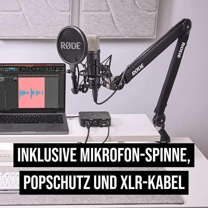 NT1 Signature Series Großmembrankondensatormikrofon mit Schockhalterung, Popschutz und XLR-Kabel für Musikproduktion, Gesangsaufnahmen, Streaming und Podcasting
