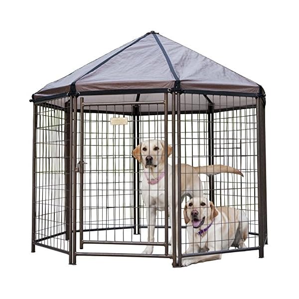 Products Top Outdoor Dog Supply