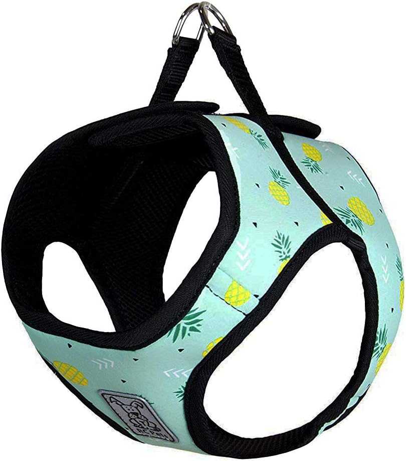 rc pets step in cirque harness