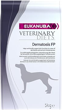 best haircut for shih tzu