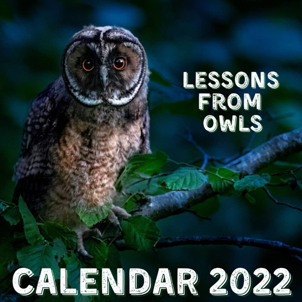 Owl Calendar 2022 Amazon