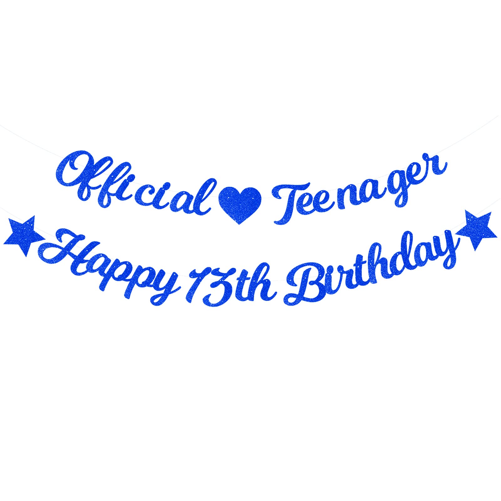 Elicola 13th Birthday Decorations Blue for Boys Official Teenager Banner with Happy 13th Birthday Bunting Garland