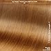 3M DI-NOC FW-655 WALNUT WOODGRAIN 3in x 5in (SAMPLE SIZE) Vinyl Film Series
