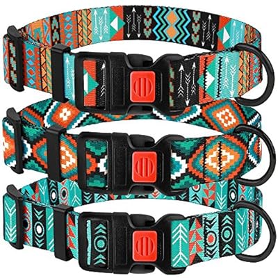 funky leather dog collars