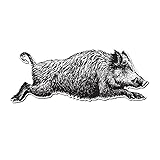 Dark Spark Decals Realistic Wild Boar Sketch - 4
