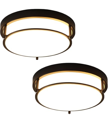QHANTOMIZE 2 Pack Black Flush Mount Ceiling Light, 12 inch 2