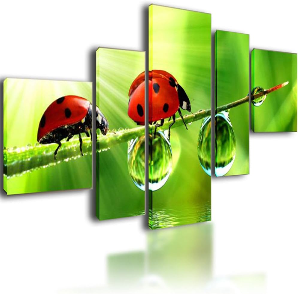 XL Parted Canvas Picture Wall Art Split Multi Panel Framed Modular Living Room - 5 panel Ladybirds On A Leaf 130cm x 70cm 2081