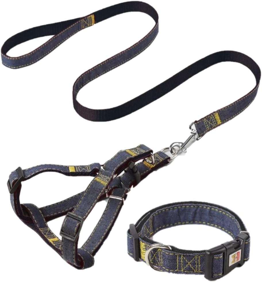 large dog leashes and collars