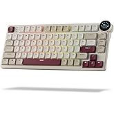 RK ROYAL KLUDGE N80 Low Profile Mechanical Keyboard w/Smart Display Screen & Knob, 75% Top Mount 3-Modes Wireless Mechanical Keyboard, Software Support, Massive Battery, 80 Keys, Quiet Red Switch