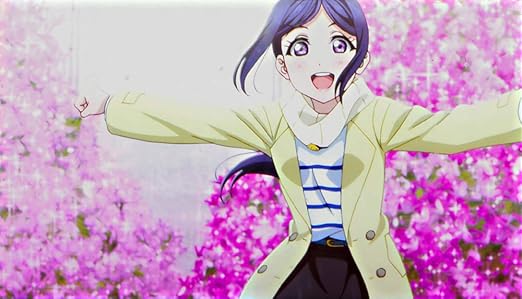 Amazon Co Jp Gif動画有 劇場版 ラブライブ サンシャイン 特典