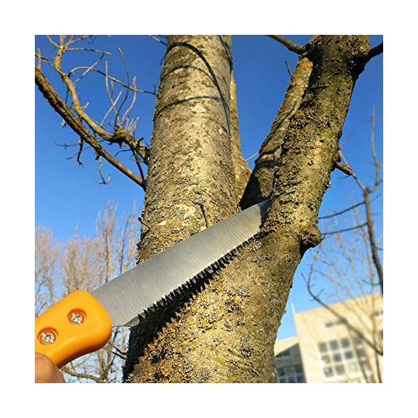 GRÃNTEK GartensÃ¤ge BARRAKUDA 300 mm, BaumsÃ¤ge, Impuls gehÃ¤rtete aggressive Spezial-Zahnung, HandsÃ¤ge, rutschfester gummierter Griff, praktischer Halter mit GÃ¼rtelclip, HolzsÃ¤ge SÃ¤ge AstsÃ¤ge – Bild 5