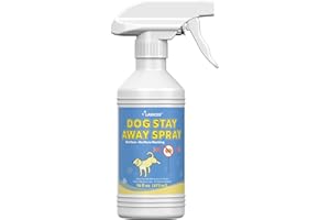 LARICEO 16 Oz Stop Peeing Spray for Dogs Indoor - Potty Training Spray for Dogs - Best Dog Urine Deterrent