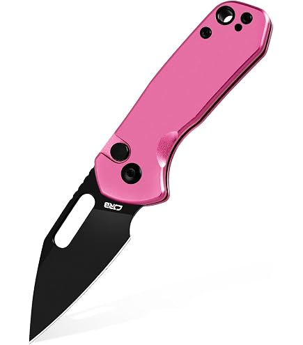 Amazon.com: CJRB CUTLERY Pocket Knife for EDC Mica (J1934) Folding