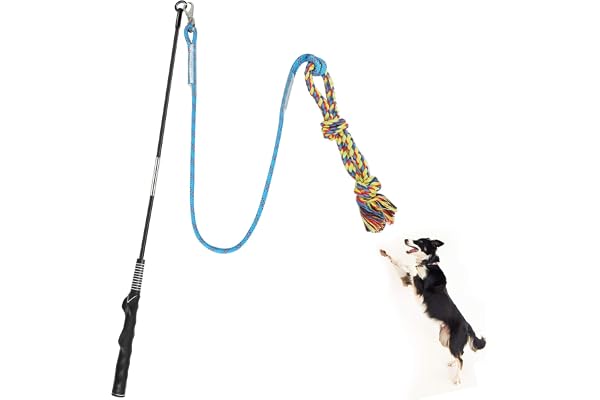 Meieke Flirt Pole for Dogs Pet Teaser Wand Outdoor Interactive Pet Dog Flirt Pole Training Exercise Rope Toy for Small Medium