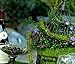 SuperMoss (22710) MossVine Garland, Fresh Green, 6ft
