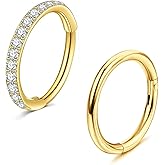 ESLALA 2pcs Nose Rings Hoops 316L Surgical Steel Nose Rings 20G Hinged CZ Piercing Jewelry Septum Clicker Lip Rings Cartilage Earring Helix Daith