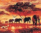 DIY Painting by Numbers for Adults, Children's Paint by Number Kits Drawing with Brushes Paint Suitable for All Skill Levels 40x50cm - Dusk Elephants with Framed