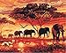 DIY Painting by Numbers for Adults, Children's Paint by Number Kits Drawing with Brushes Paint Suitable for All Skill Levels 40x50cm - Dusk Elephants with Framed