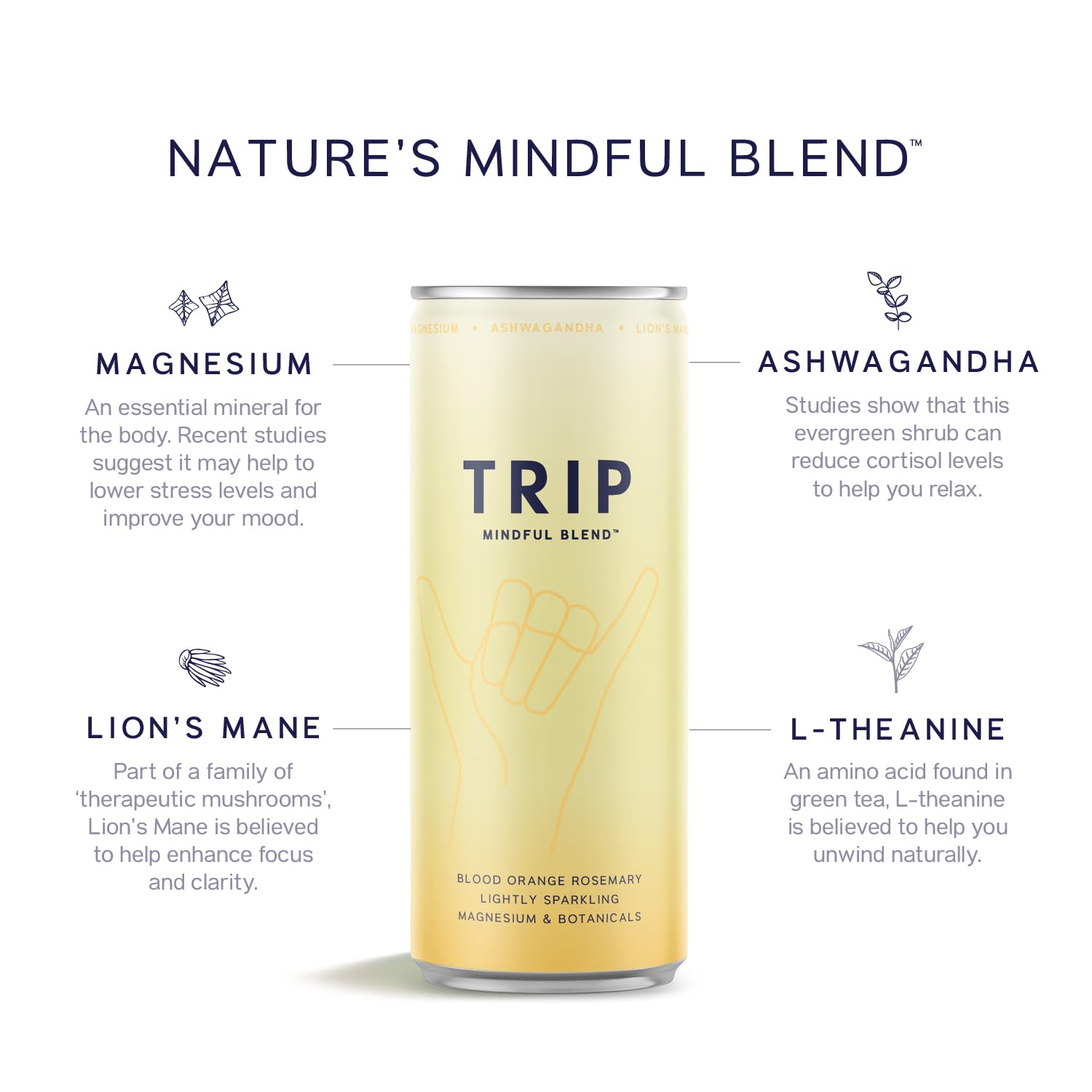 TRIP Mindful Blends - Mixed Pack Sparkling Drink with 1440MG Magnesium + Lion’s Mane + Chamomile + Lemon Balm. Low Calorie and Vegan (Pack of 12 x 250ml)