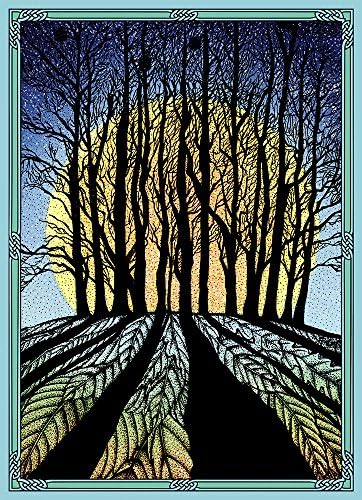 Amazon Com Tree Free Greetings Solstice Cards And Envelopes Set Of 10 5 X 7 Winter Solstice Hb Office Products Amazon Com Tree Free Greetings Solstice Cards And Envelopes Set Of 10 5 X 7 Winter Solstice Hb Office Products