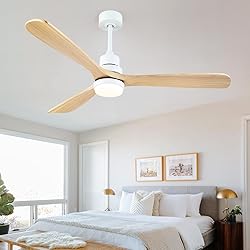 60" Outdoor Ceiling Fans with Lights and