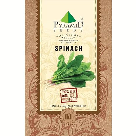Pyramid Seeds Palak or Spinach Seeds (16 g) -1700 Seeds