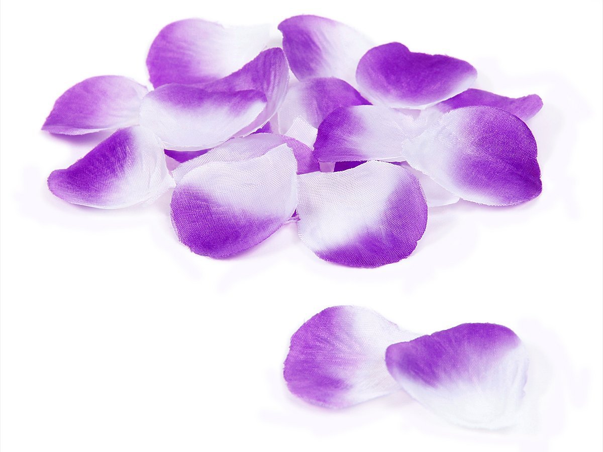 Doutop Rose Petals Red Artificial Silk Flower Rose Petals / Leaves for Wedding / Party / Valentine's Day / Marriage / Proposal / Table Confetti, Pack of 1000