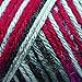 Caron International Caron Simply Soft, 5 Oz, Red Camo, 5 Fl Oz