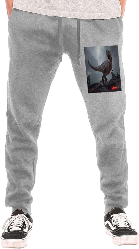 Amazon Co Jp カジュアルパンツ アクティブロングパンツ 最新のメンズ人気のロングパンツ 恐竜 春 夏 秋と冬のファッションズボン ショッピング 旅行 学校 仕事 スポーツ 人気のズボン 服 ファッション小物