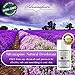 Natural Deodorant Stick Aluminum Free Lavender 2.9 oz Healthy Deodorant | GMO-Free | 100% Non-Toxic Deodorant | All Day Protection | Non Irritating | Non Sticky | Great Smelling Lavender Scent