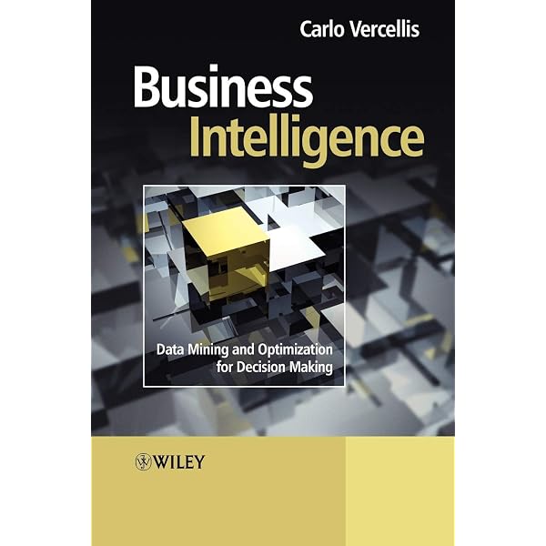 Business Intelligence in Plain Language: A practical guide to Data